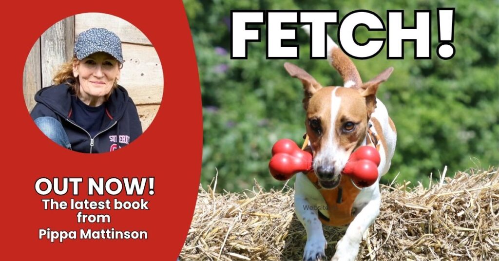 photo of a jack russell terrier jumping a straw bale with a red bone in its mouth next to an image of Pippa Mattinson